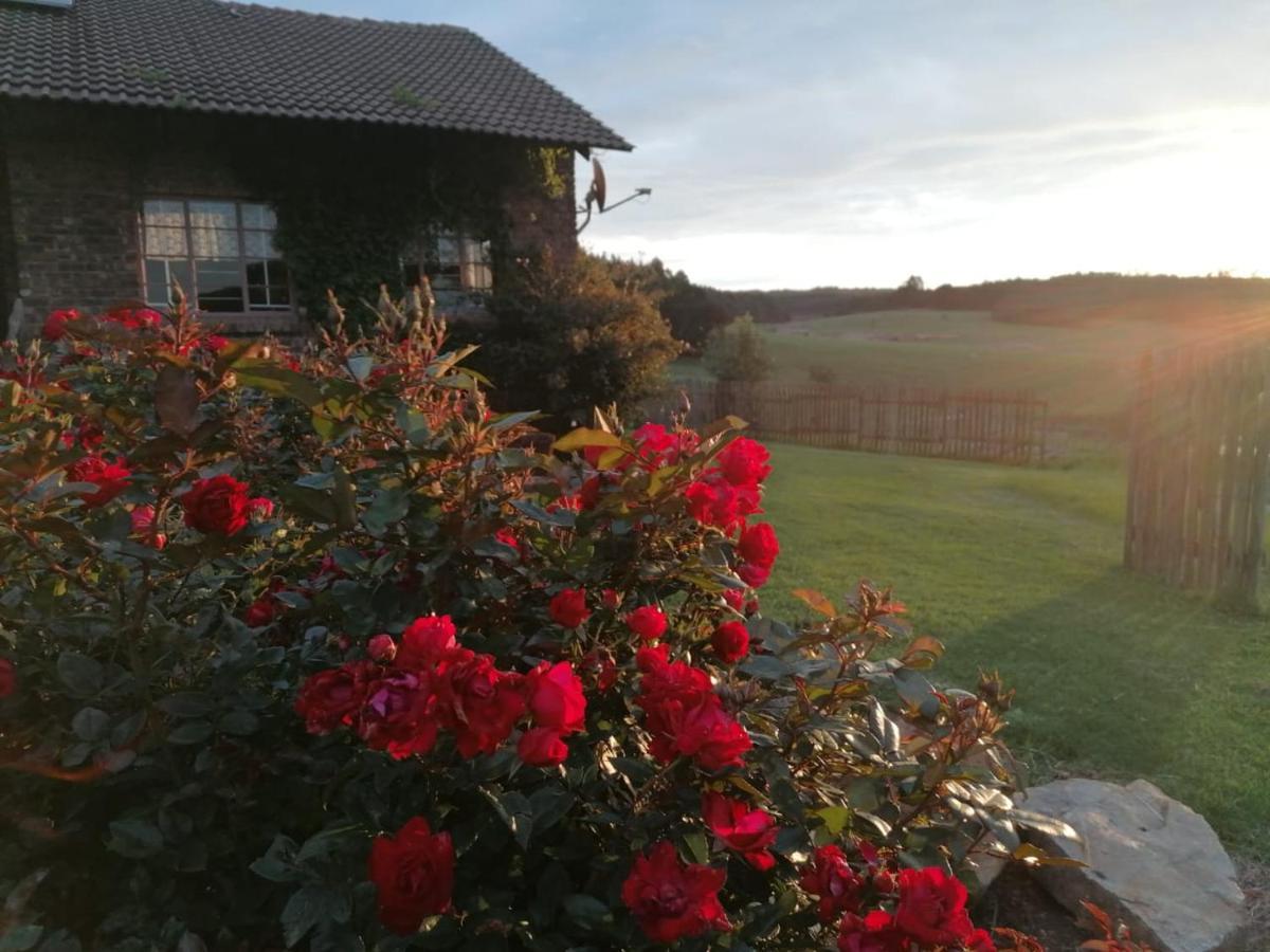 Rocks & Roses Farm Stay Lochiel Kültér fotó