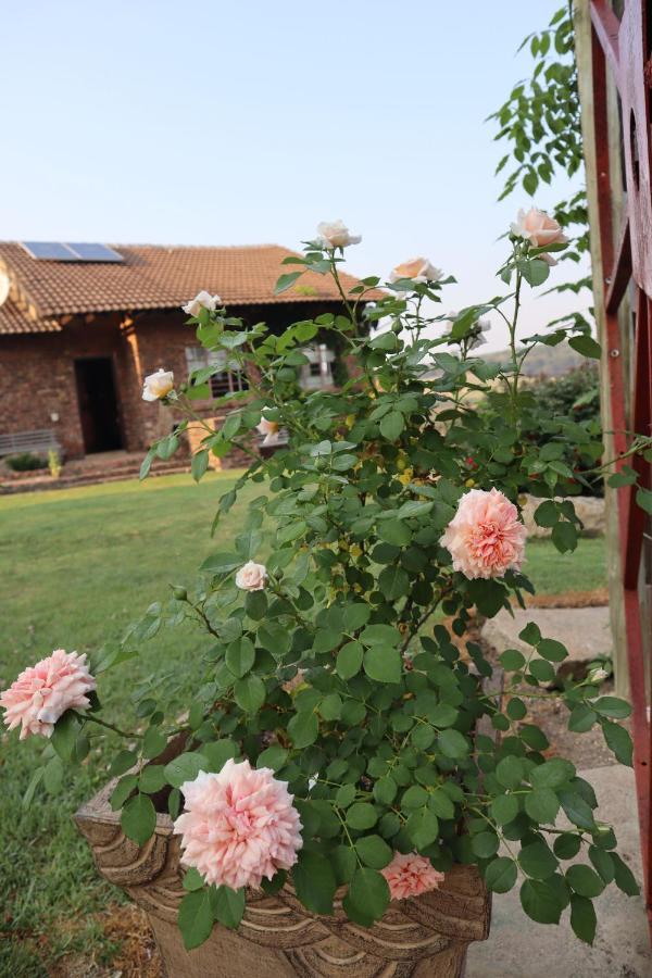 Rocks & Roses Farm Stay Lochiel Kültér fotó