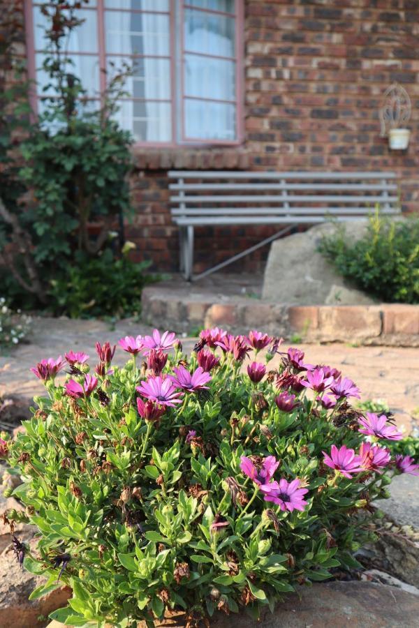 Rocks & Roses Farm Stay Lochiel Kültér fotó